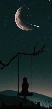 This live wallpaper features a serene scene with a person sitting on a wooden swing next to a cat