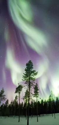 Looking for a stunning live wallpaper for your phone? Check out this one featuring a snowy landscape with a group of trees, surrounded by swirling aurora borealis! The image, available as a stock photo, captures the peace and tranquility of a winter forest, making it perfect for anyone who loves nature