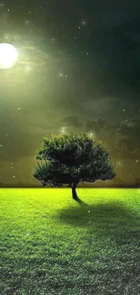 This phone live wallpaper features a serene green field with a lone tree under a full moon