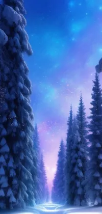 winter wonderland night wallpaper