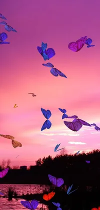 Sky Atmosphere Purple Live Wallpaper