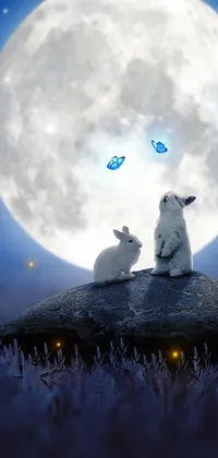 This stunning live wallpaper presents a scene of two lovely cats lounging on a rocky terrain as a full moon shines behind them