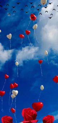 This mobile live wallpaper showcases a charming design of red and white balloons hovering in the sky against a serene blue backdrop