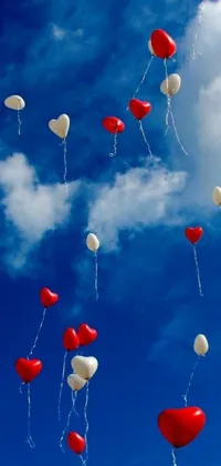 Sky Balloon Hot Air Balloon Live Wallpaper