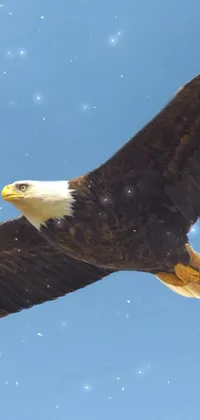 This phone live wallpaper features a bald eagle flying through a blue sky with helicopters and other birds in the background