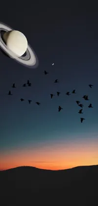 Sky Bird Atmosphere Live Wallpaper