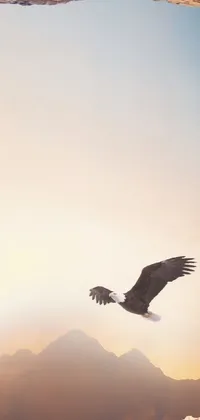 This phone live wallpaper features a stunning bird soaring through a mystical cave with beautiful UHD 4K resolution