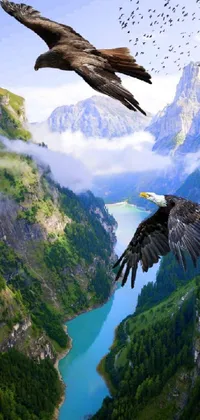 Sky Bird Mountain Live Wallpaper