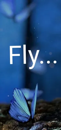 This phone live wallpaper showcases a stunning blue butterfly sitting on a pile of dirt while fireflies flicker in the background