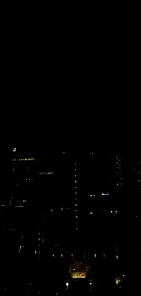 Black background live wallpaper featuring a plane flying over a Downtown Seattle cityscape shot on a webcam