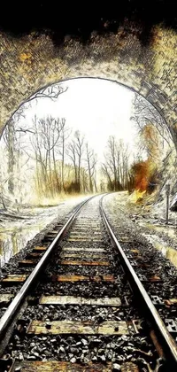 Experience a breathtaking phone live wallpaper that will transform your device's screen into a winter wonderland! Featuring a stunning painting of a train track going through a tunnel, this digital artwork captures the mystery and beauty of the scene with vivid colors and intricate details