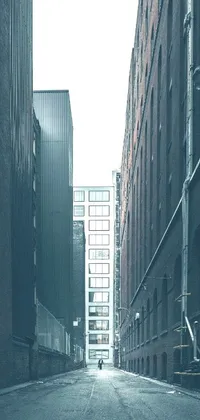 This phone live wallpaper showcases an empty urban city street, lined with tall buildings against a grey warehouse backdrop