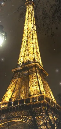 This live wallpaper showcases a stunning photo of the Eiffel Tower at night