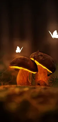 Immerse yourself in a world of awe-inspiring beauty with a phone live wallpaper featuring two mushrooms atop a forest