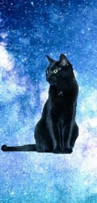The black cat perched on snow covered ground seems to float in an ethereal cosmic nebula, creating a mysterious and captivating digital art image