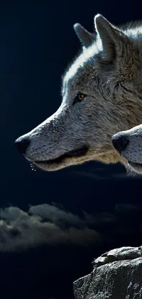 Sky Carnivore Dog Live Wallpaper