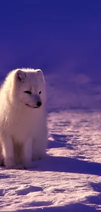 This stunning live wallpaper depicts a small white dog sitting in a snowy landscape