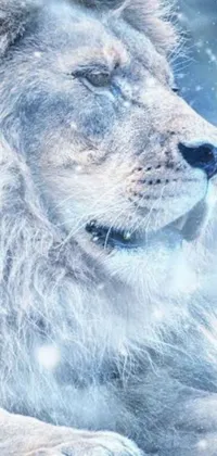 This stunning phone live wallpaper displays a majestic lion in a close-up shot, comfortably seated on an ice throne with a wintry feel