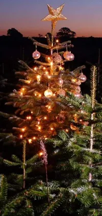 Sky Christmas Ornament Light Live Wallpaper