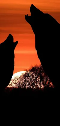 This mesmerizing phone live wallpaper features two animals in a romantic, intense pose against an epic red-orange moonlit background