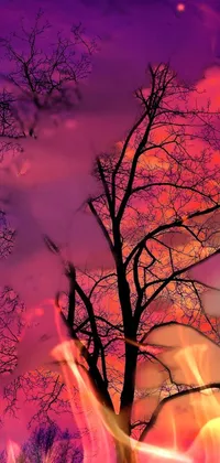 fire Live Wallpaper
