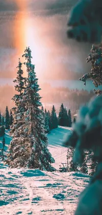Get lost in a mesmerizing winter landscape with this captivating phone live wallpaper