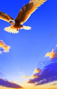 Sky Cloud Bird Live Wallpaper
