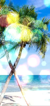 Looking for a serene and tropical live wallpaper for your phone? This palm tree and beach wallpaper is the perfect choice! With its stunning stock photo featuring swaying palm trees atop a sandy beach along the calm blue sea in Thailand, this live wallpaper creates a relaxing ambiance on your phone screen
