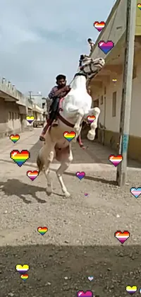 Looking for a unique live wallpaper for your phone? Check out our latest addition featuring a stunning scene of a man riding on the back of a majestic white horse with a beautiful rainbow-colored backdrop