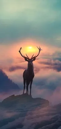 Sky Cloud Elk Live Wallpaper