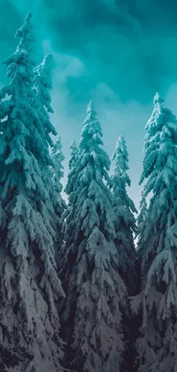 Enjoy the beauty of nature with this live wallpaper for your phone