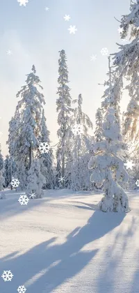 Transform your phone screen with this stunning live wallpaper of a snowy Norwegian landscape