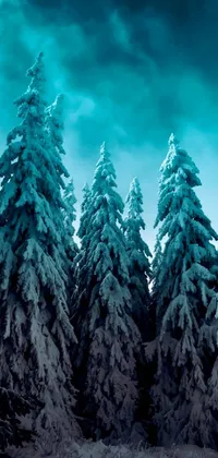 Immerse yourself in the beauty of nature with this stunning Live Wallpaper featuring a snow-covered forest