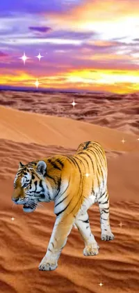 Sky Cloud Siberian Tiger Live Wallpaper