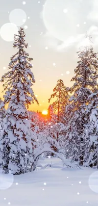 Snow, sun&moon Live Wallpaper