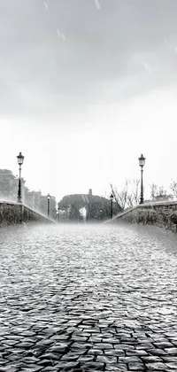 This live phone wallpaper features a captivating black and white photo of a cobblestone street, water tornado in the city, the tunnel into winter, roma, or winter storm surge
