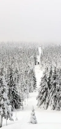 This phone live wallpaper showcases a captivating winter scene with a skier gliding down a snow-covered slope