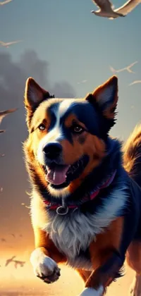 Sky Dog Dog Breed Live Wallpaper