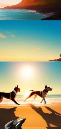 Experience a playful beach scene with our phone live wallpaper featuring a digital painting of a shibu inu dog chasing a bird