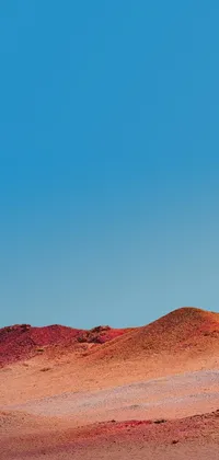 This stunning phone live wallpaper features an eye-catching desert landscape with a person flying a colorful kite
