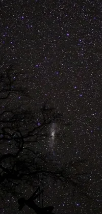 This incredible phone live wallpaper showcases a stunning image of a single tree in silhouette against a dark, starry night sky