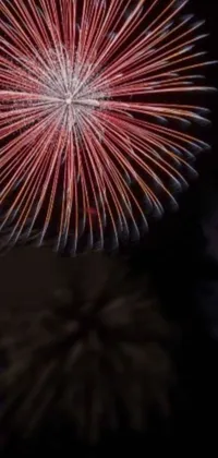 Sky Electric Blue Fireworks Live Wallpaper