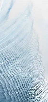 This Phone Live Wallpaper features a stunning close-up of a white feather on a peaceful pastel blue background