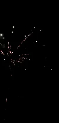 This live wallpaper showcases a mesmerizing and vibrant fireworks display set against a dark backdrop