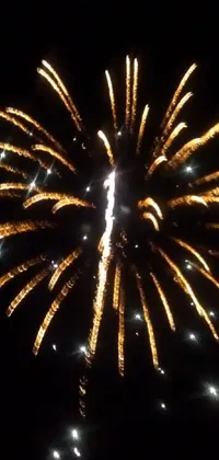 Experience the excitement of a dazzling fireworks display with this phone live wallpaper