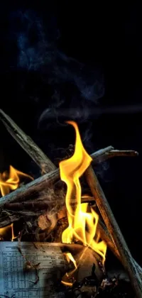 This phone live wallpaper showcases a beautiful and realistic campfire at night