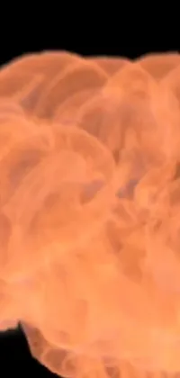 This black background live wallpaper features a close-up of a fire in brilliant orange hues surrounded by realistic digital rendering