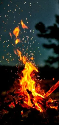 This phone live wallpaper displays a fiery blaze with sparks flying out, set against a summer night backdrop