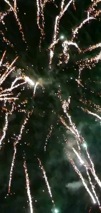 This lively phone live wallpaper features a glittering fireworks show set against a breathtaking night sky backdrop