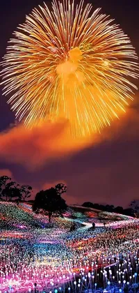 Sky Fireworks Photograph Live Wallpaper